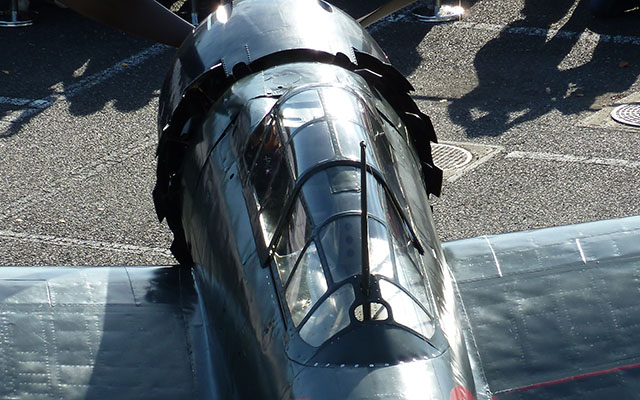 Slideshow Image 12